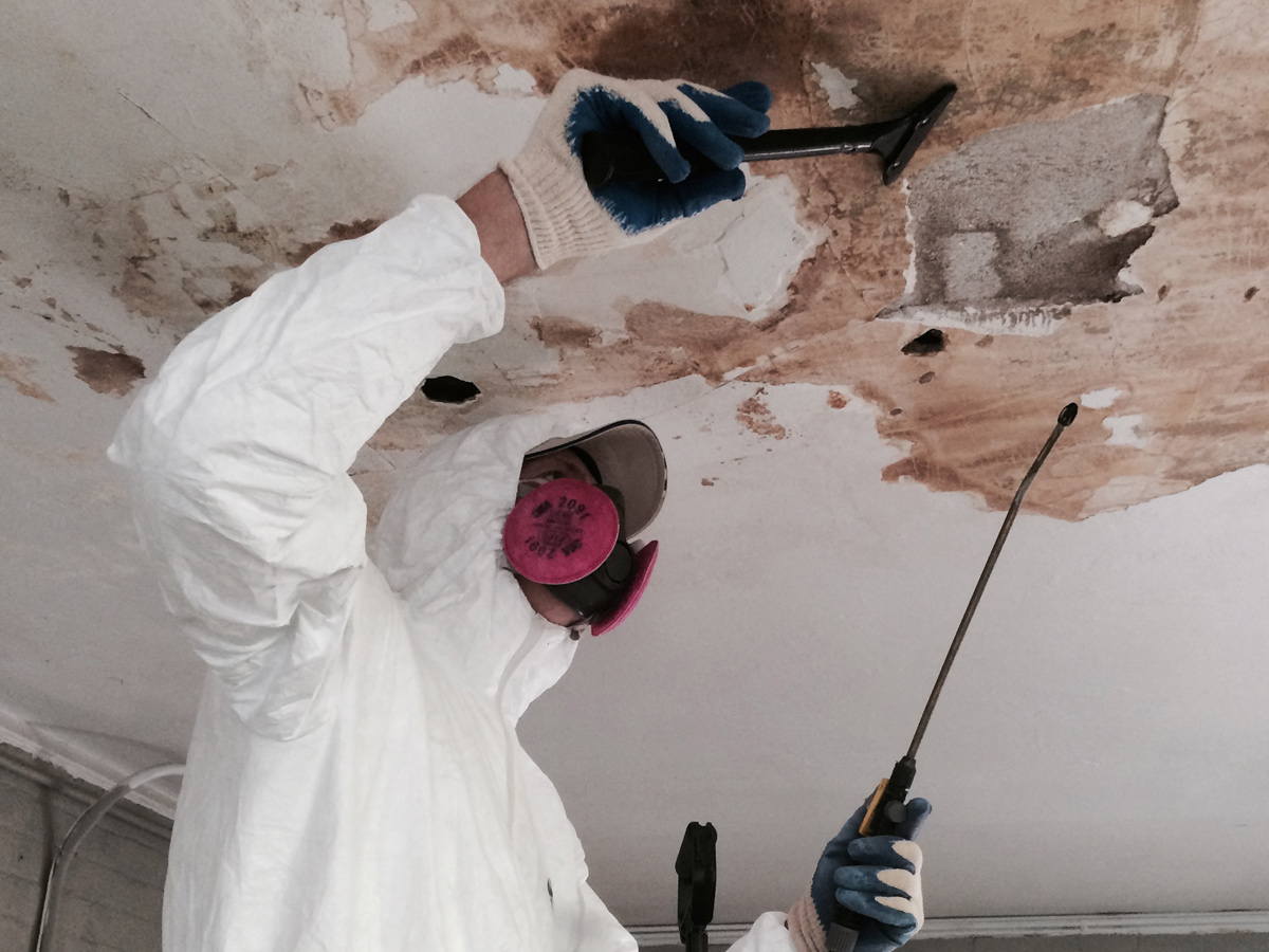 mold abatement